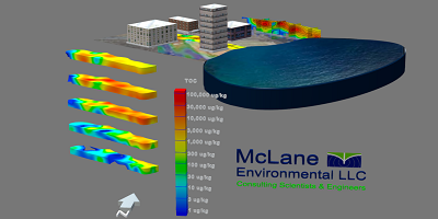 3D Model representating a channel plume displayign buildings, sediment contamination using 3D visualization software Earth Volumetric Studio